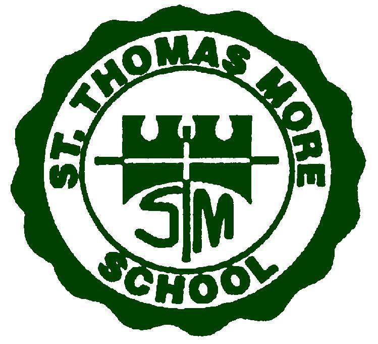 stm logo green